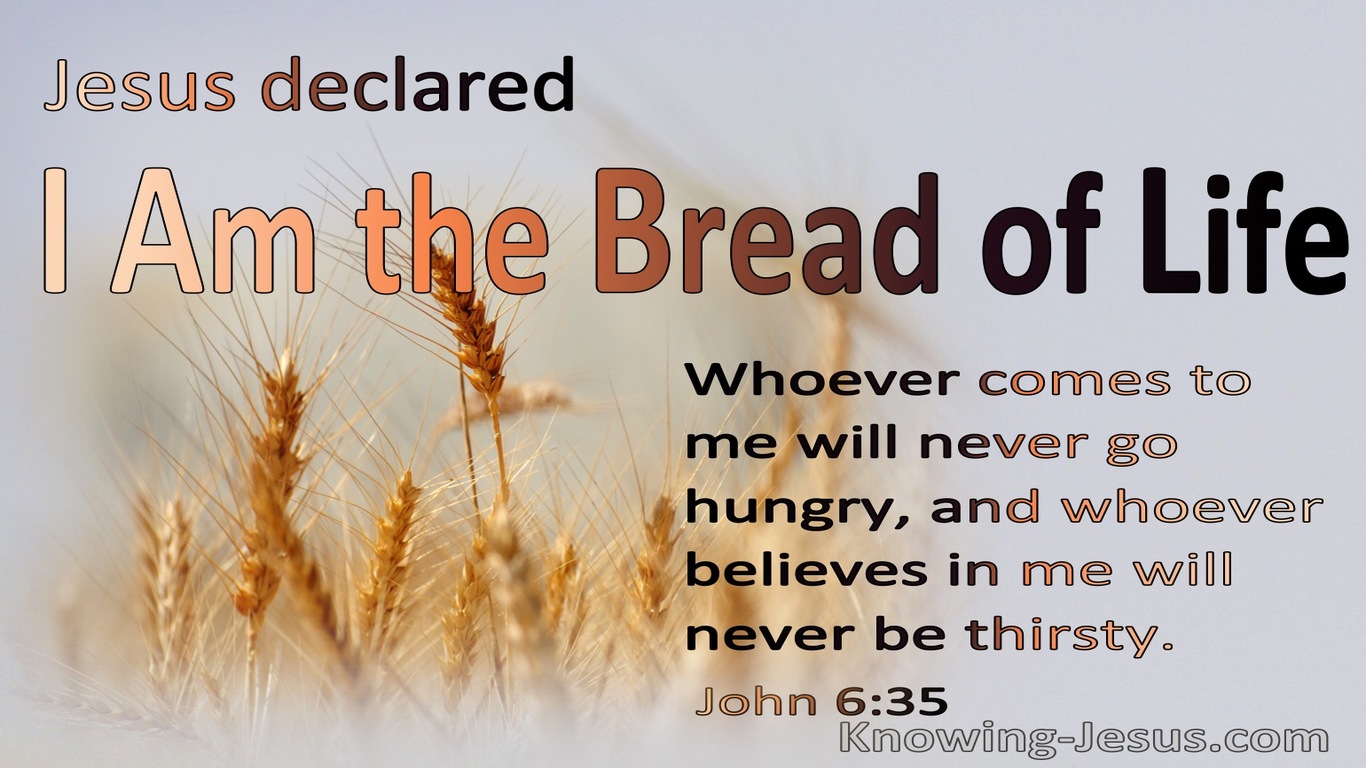 John 6:35 I Am The Bread Of Life Whoever Comes To Me Will Never Hinger Or Thirst  (gray)